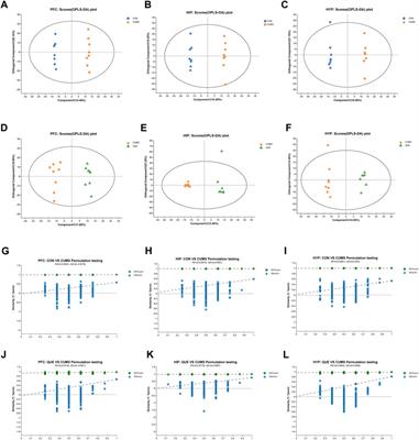 Quercetin reshapes gut microbiota homeostasis and modulates brain metabolic profile to regulate depression-like behaviors induced by CUMS in rats